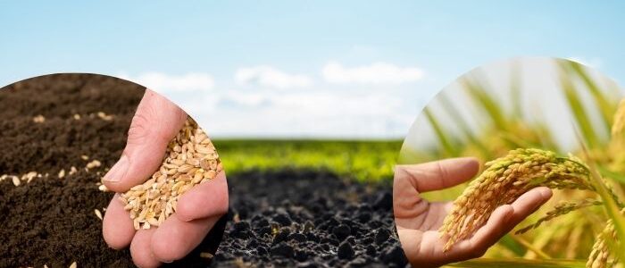 Agriculture
