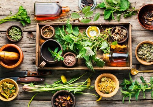 Medicinal plant